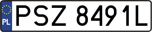 PSZ8491L