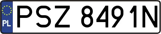 PSZ8491N