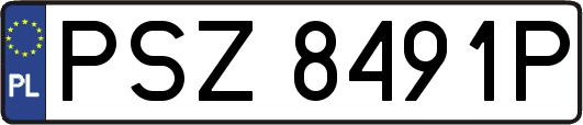 PSZ8491P