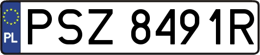 PSZ8491R