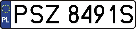 PSZ8491S