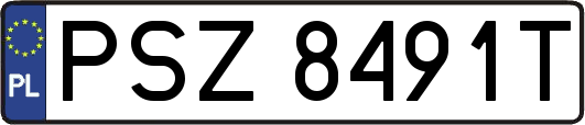 PSZ8491T