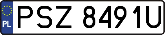 PSZ8491U