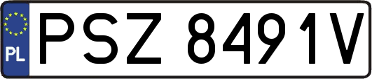 PSZ8491V