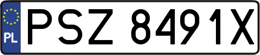 PSZ8491X