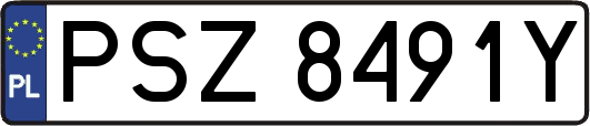 PSZ8491Y