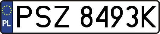 PSZ8493K