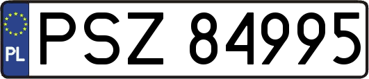 PSZ84995