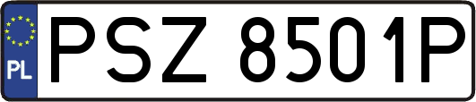 PSZ8501P