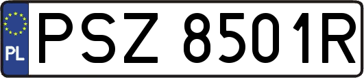 PSZ8501R