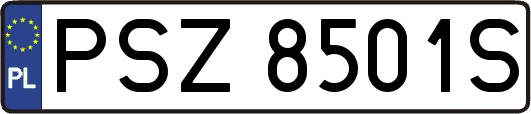 PSZ8501S