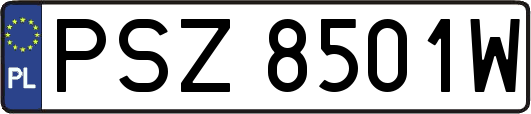 PSZ8501W