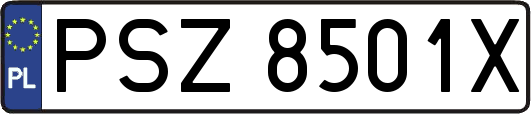 PSZ8501X