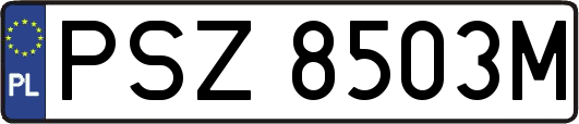 PSZ8503M