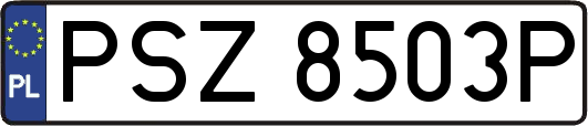 PSZ8503P