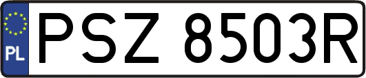 PSZ8503R