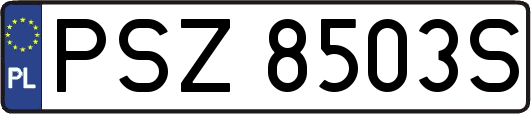 PSZ8503S