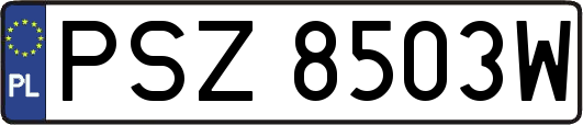 PSZ8503W