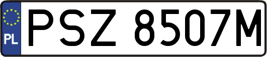 PSZ8507M