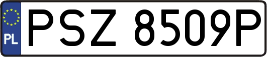 PSZ8509P