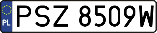 PSZ8509W