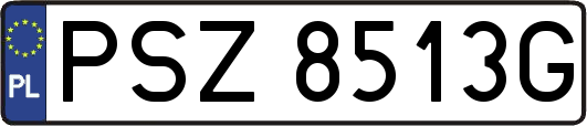 PSZ8513G