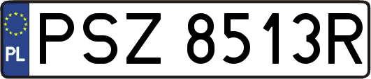 PSZ8513R