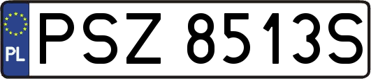 PSZ8513S