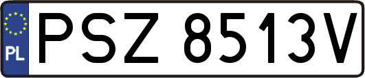 PSZ8513V