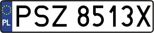 PSZ8513X