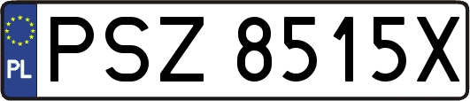 PSZ8515X