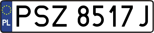 PSZ8517J