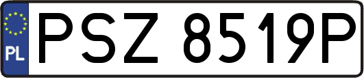 PSZ8519P