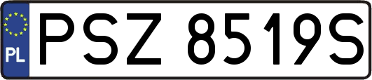 PSZ8519S