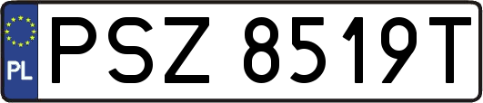 PSZ8519T