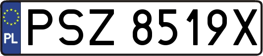 PSZ8519X