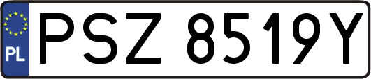 PSZ8519Y