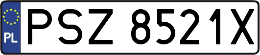 PSZ8521X