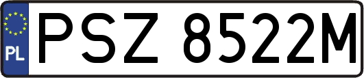 PSZ8522M