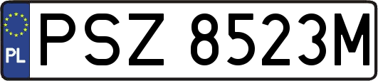 PSZ8523M