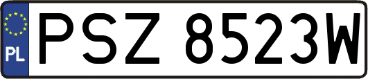 PSZ8523W