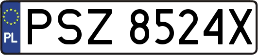 PSZ8524X
