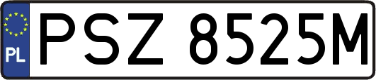 PSZ8525M