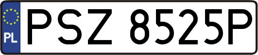 PSZ8525P