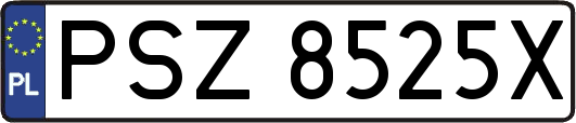 PSZ8525X