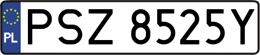 PSZ8525Y