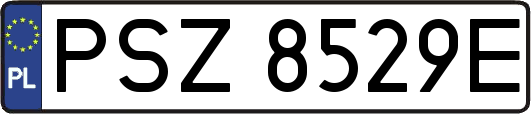 PSZ8529E