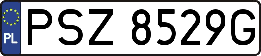 PSZ8529G