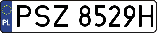 PSZ8529H