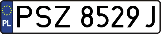 PSZ8529J
